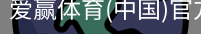 爱赢体育官网入口